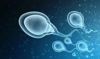 MALE INFERTILITY