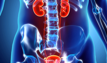 ECTOPIC URETER