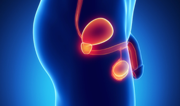 URETHRAL STRICTURE
